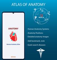 Human Anatomy Handbook poster