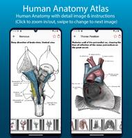 Human Anatomy Handbook screenshot 2