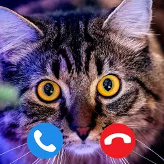 Cat Fake video call – fake cha