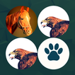Match Picture Pairs icon