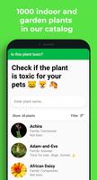 Is plant toxic? Affiche