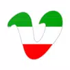 Italian Grammar & Verbs APK