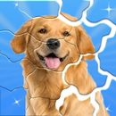 Find & Restore! APK
