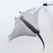 Water Ink 3D