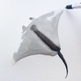 Water Ink 3D Zeichen