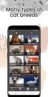 Cat Breeds โปสเตอร์