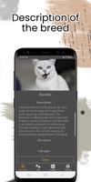 Cat Breeds captura de pantalla 1