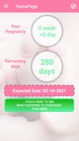 Pregnancy Week by Week-poster