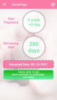 Pregnancy Week by Week ポスター