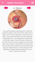 Pregnancy Week by Week تصوير الشاشة 3