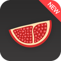 Pome VPN - High Speed VPN Proxy