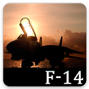 F-14 Tomcat Pattern Lock & Backgrounds APK