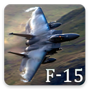 F-15 Eagle Pattern Lock & Backgrounds APK