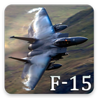 F-15 Eagle Pattern Lock & Backgrounds simgesi