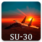 Sukhoi Su-30 Pattern Lock & Backgrounds icône