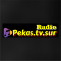 Radio Pekastvsur