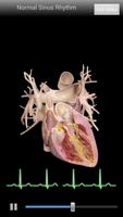 Cardiological captura de pantalla 1