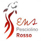 Pesciolino Rosso icône