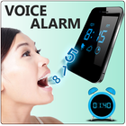 ikon Voice Alarm