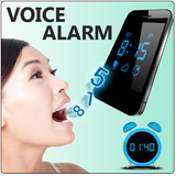 ikon Voice Alarm