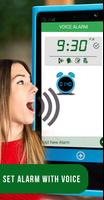 Voice Alarm Affiche