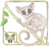 Teach Animals APK