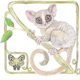 Lernen Tiere APK