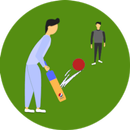 Cricket Summer Doodling Game APK