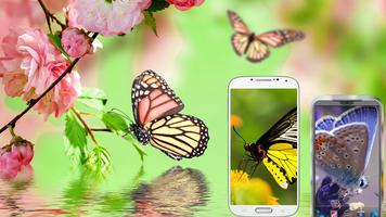 Butterfly Wallpapers HD पोस्टर