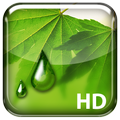 Misted Screen HD