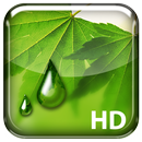 Misted Screen HD APK