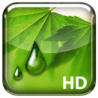 Misted Screen HD icon