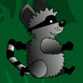 Infinity Runner -Racoon Runner