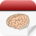 DailyBrain