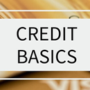 Learn Credit Basics APK