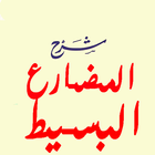 شرح المضارع البسيط أيقونة