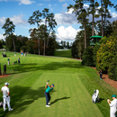 The Masters APK