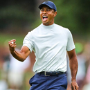 Tiger Woods APK
