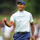 Tiger Woods icon