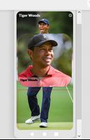 Tiger Woods poster