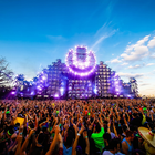 ultra music festival 圖標