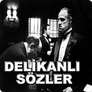 DELİKANLI SÖZLER - AĞIR ABİ SÖZLERİ APK