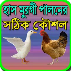 Descargar APK de হাস মুরগী পালনের সঠিক কৌশল