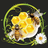 Bee Master иконка