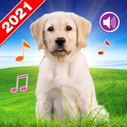 Animals Sound Ringtones Offline 2020 icon