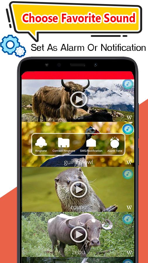 Animals Sound Ringtones Offline 2020 APK for Android Download Animals Sound Ringtones Offline 2020 APK for Android Download