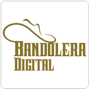 Bandolera Digital CDMX APK