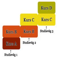 SFI Kurs C capture d'écran 1