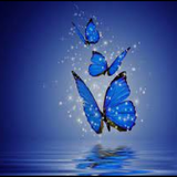 snow wallpapers آئیکن