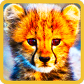 Animals Quiz — Learn All Animal Trivia Game 2019